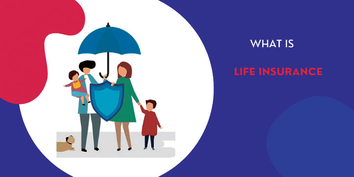 What Is Life Insurance, and What Are Its Characteristics